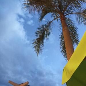 Meet your Posher, Wayne